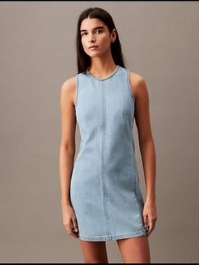 Calvin Klein Chambray Mini Shift Dress